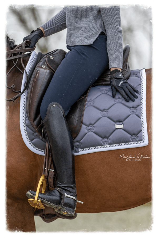 What's New? Three Inspiring Ideas For Equestrians for This Week - Kingdom Equestrian