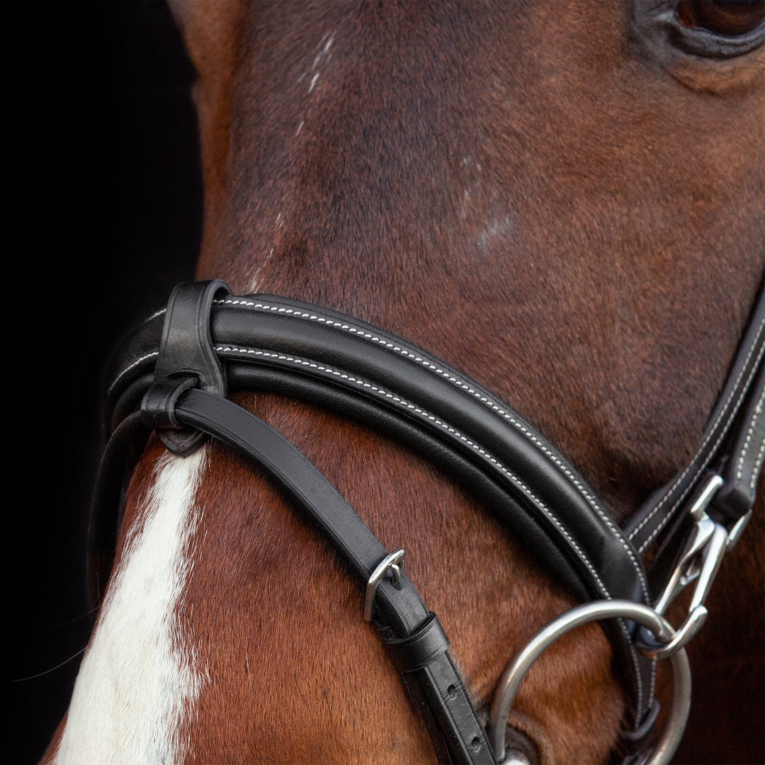Schockemohle Neo Line Dortmund Snaffle Bridle - Snaffle Bridle - Kingdom Equestrian