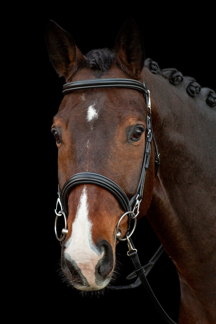 Schockemohle Neo Line Dortmund Snaffle Bridle - Snaffle Bridle - Kingdom Equestrian