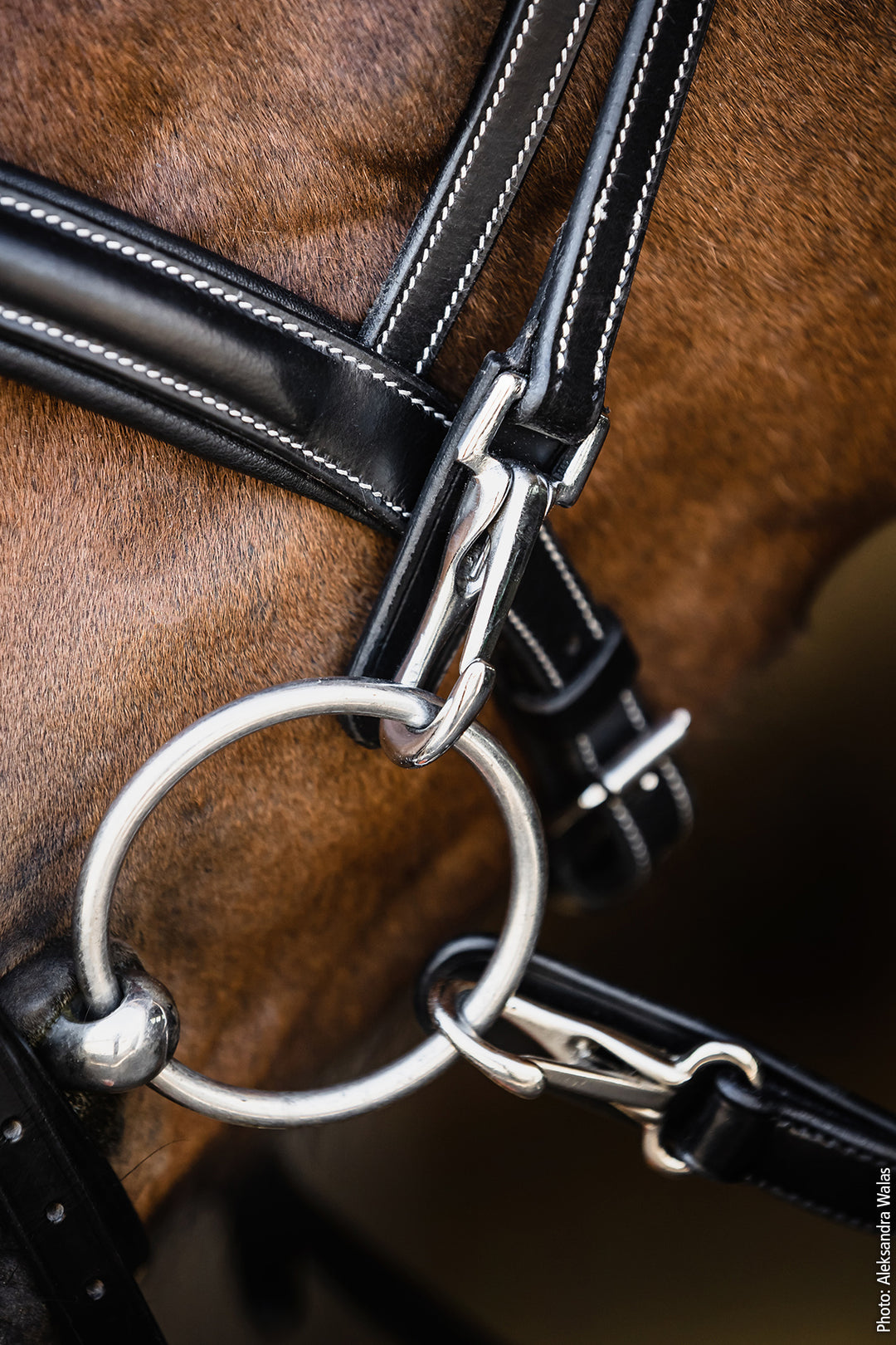 Schockemohle Neo Line Dortmund Snaffle Bridle - Snaffle Bridle - Kingdom Equestrian