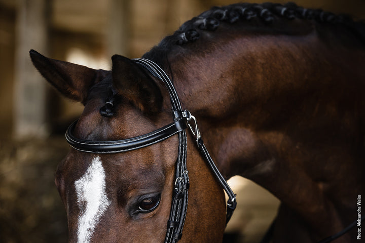 Schockemohle Neo Line Dortmund Snaffle Bridle - Snaffle Bridle - Kingdom Equestrian