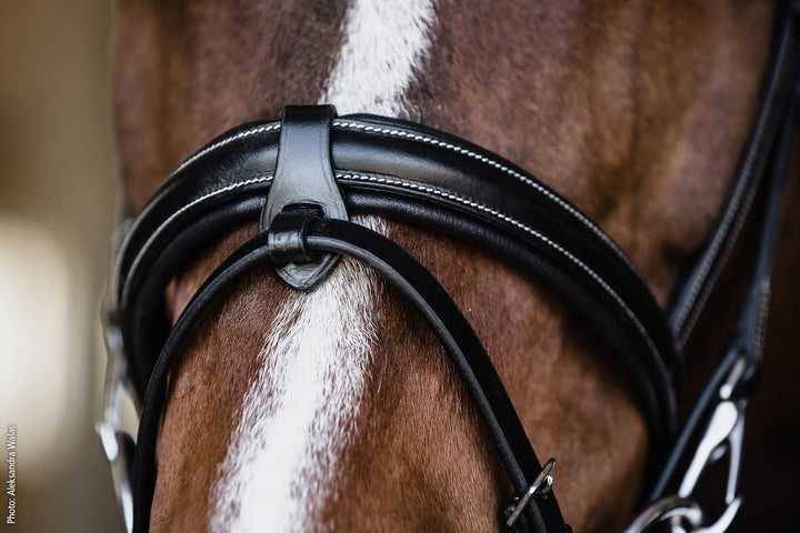 Schockemohle Neo Line Dortmund Snaffle Bridle - Snaffle Bridle - Kingdom Equestrian