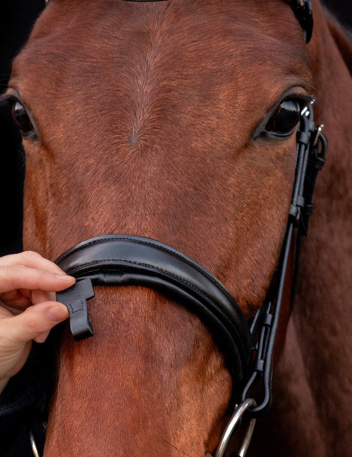 Schockemohle Malaga Dressage Snaffle Bridle - Snaffle Bridle - Kingdom Equestrian