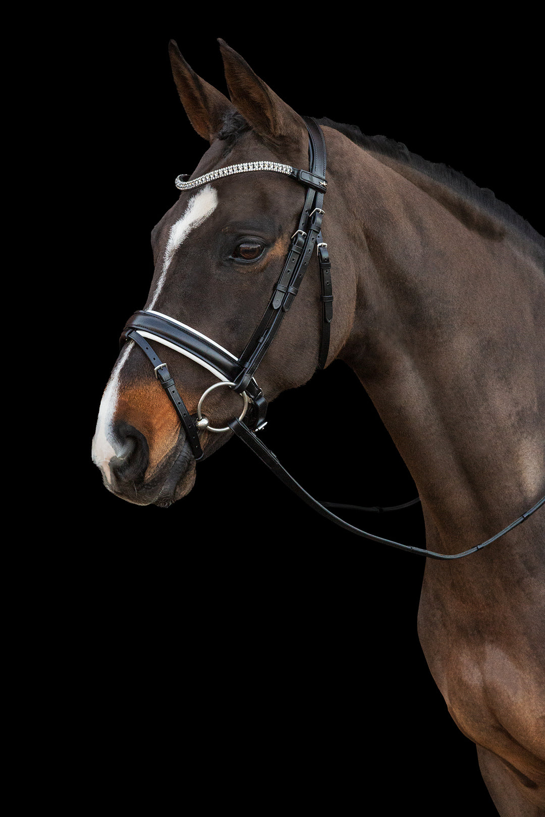 Schockemohle Malaga Dressage Snaffle Bridle - Snaffle Bridle - Kingdom Equestrian