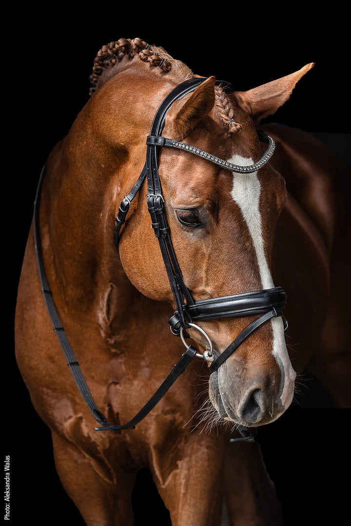 Schockemohle Malaga Dressage Snaffle Bridle - Snaffle Bridle - Kingdom Equestrian