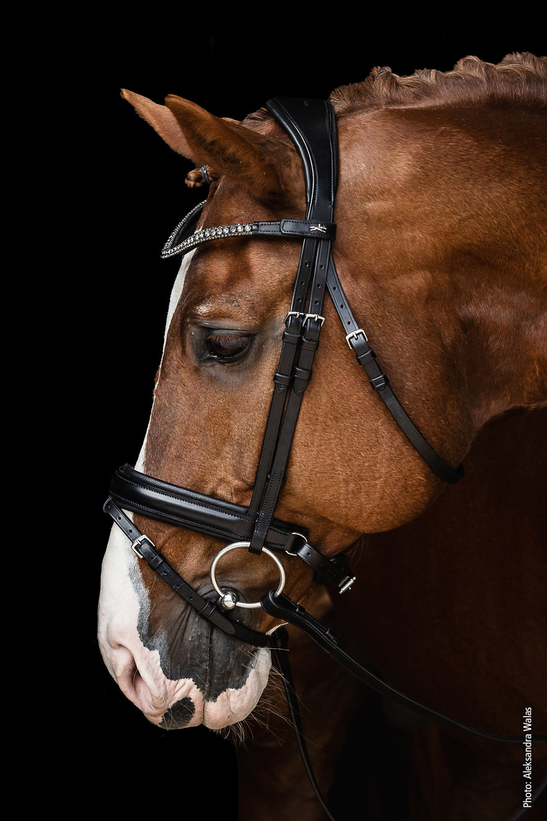 Schockemohle Malaga Dressage Snaffle Bridle - Snaffle Bridle - Kingdom Equestrian