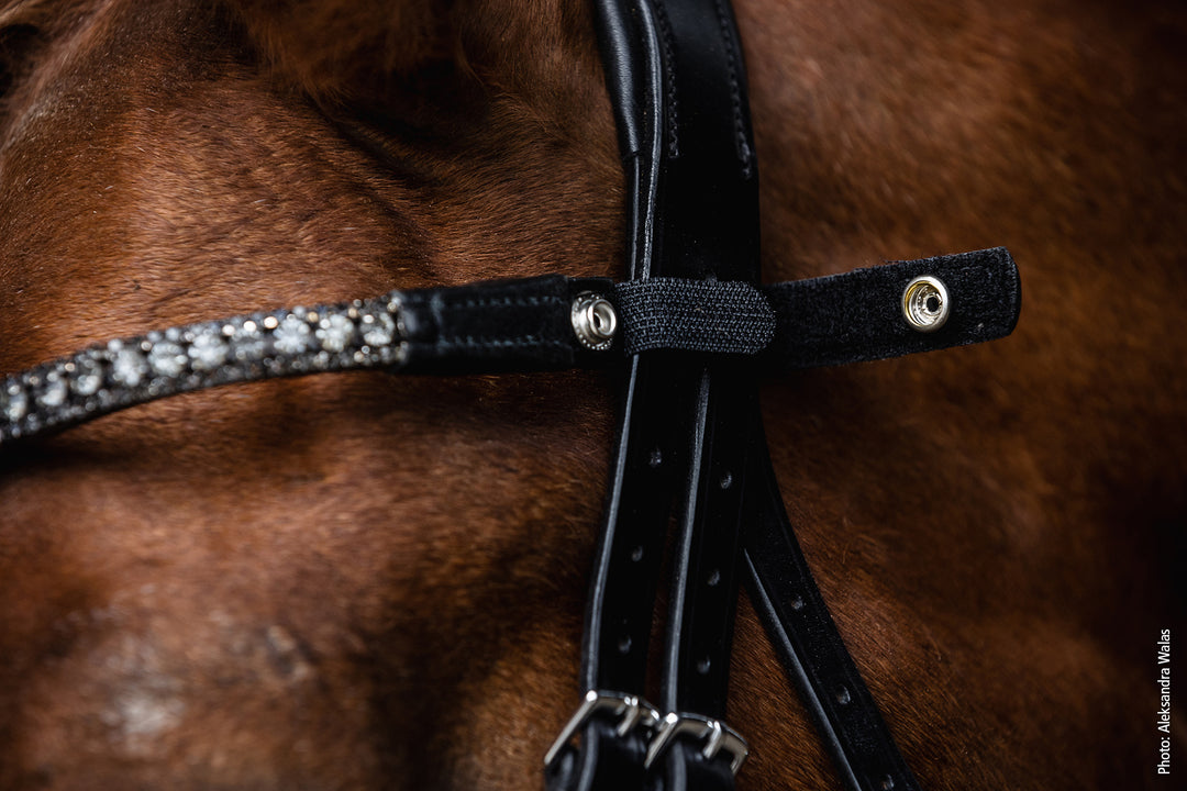 Schockemohle Malaga Quick - Remove Browband - Browband - Kingdom Equestrian