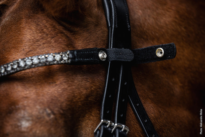 Schockemohle Malaga Quick - Remove Browband - Browband - Kingdom Equestrian