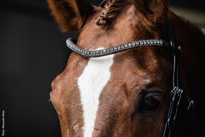 Schockemohle Malaga Dressage Snaffle Bridle - Snaffle Bridle - Kingdom Equestrian