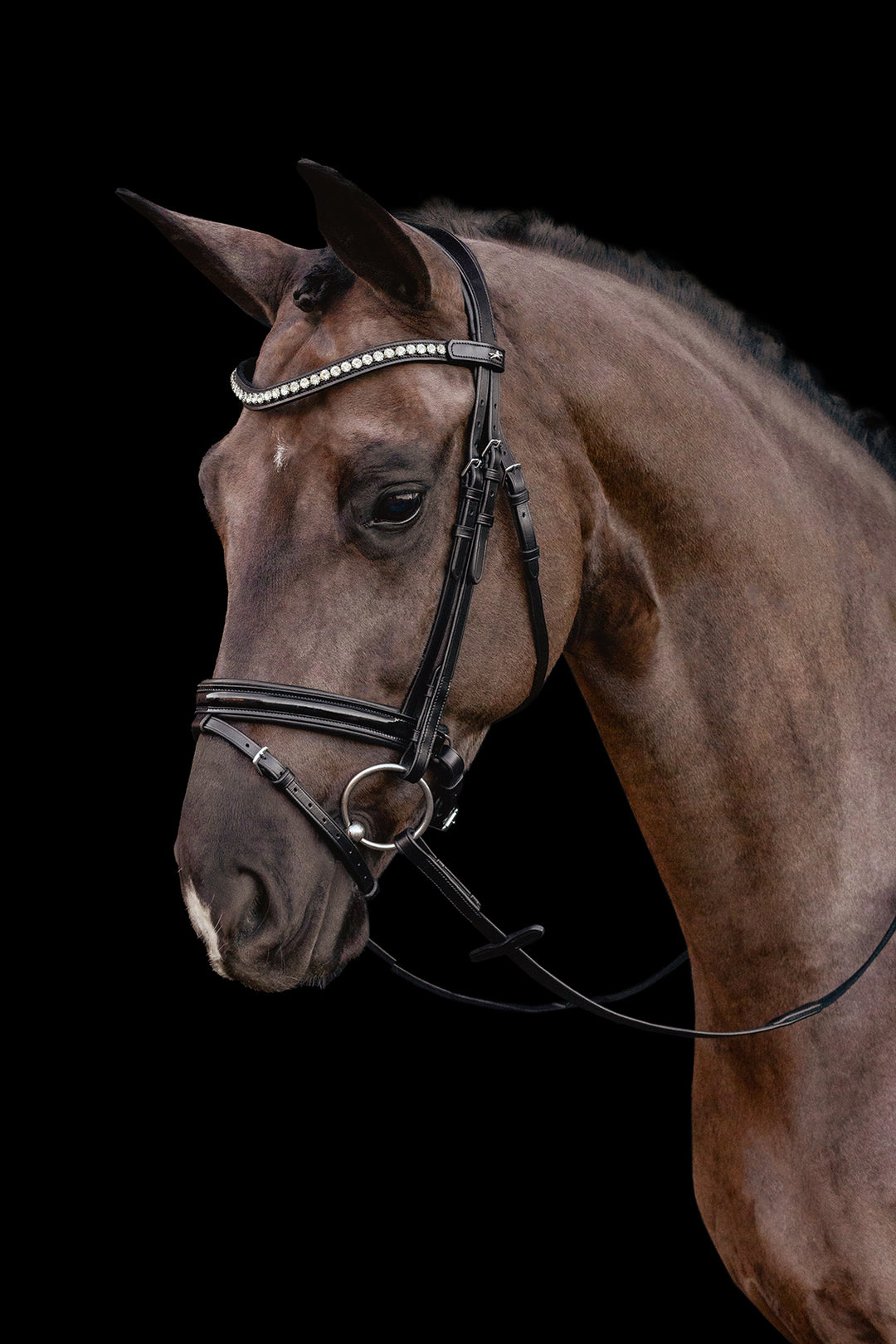 Schockemohle Palermo Snaffle Bridle - Snaffle Bridle - Kingdom Equestrian