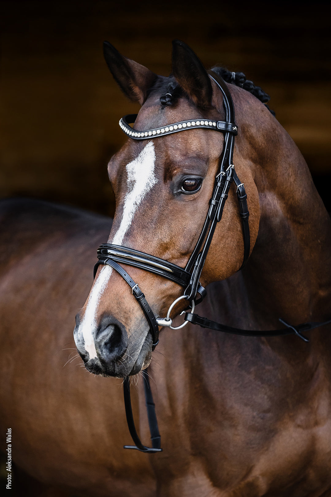Schockemohle Palermo Snaffle Bridle - Snaffle Bridle - Kingdom Equestrian