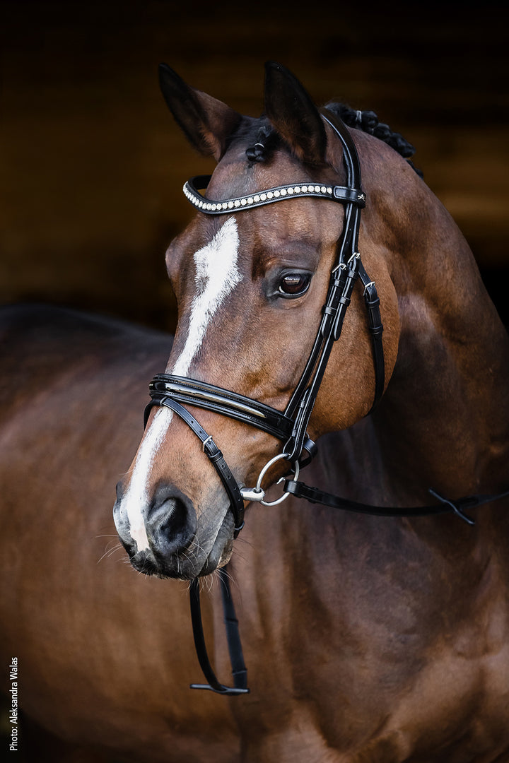 Schockemohle Palermo Snaffle Bridle - Snaffle Bridle - Kingdom Equestrian