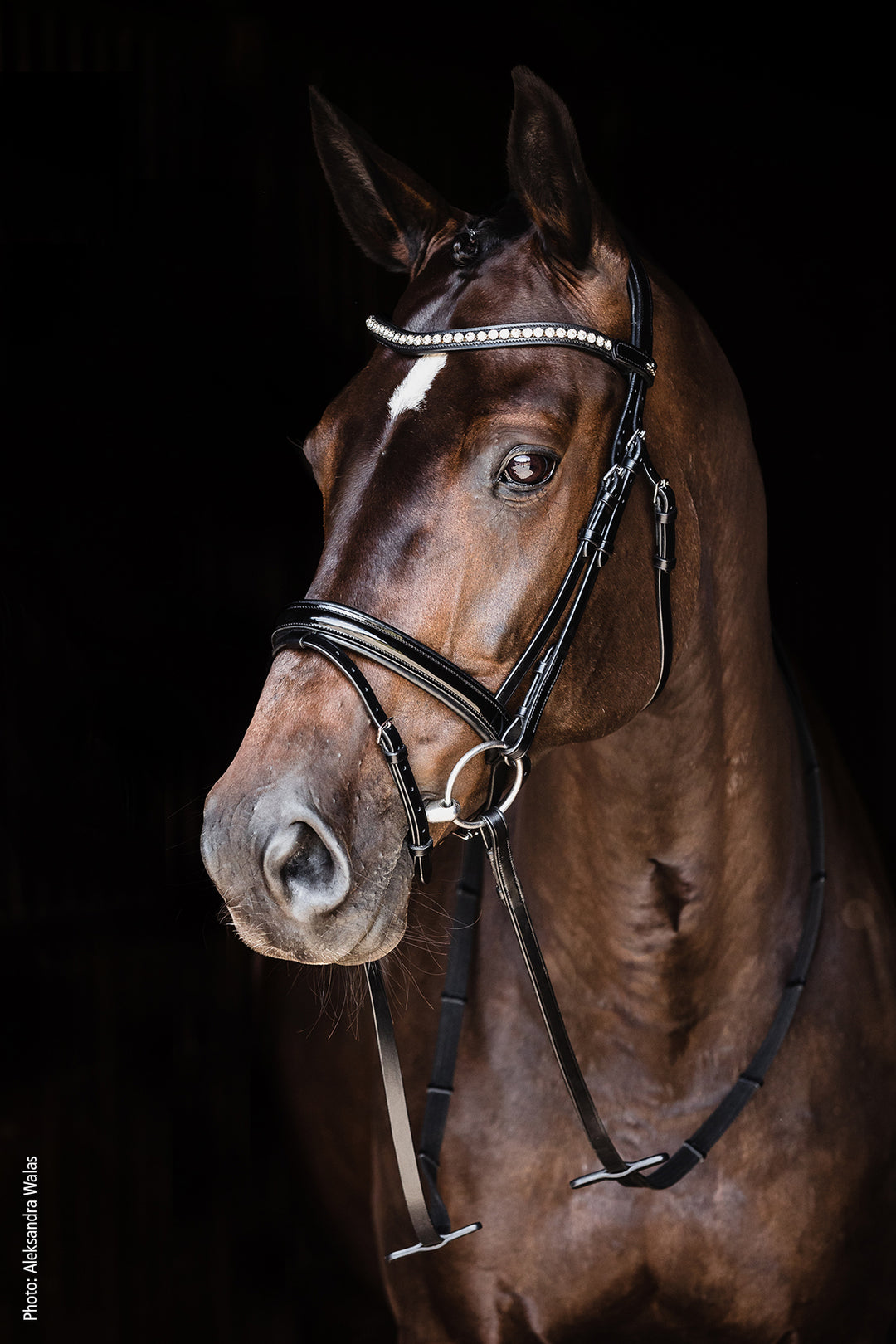Schockemohle Palermo Snaffle Bridle - Snaffle Bridle - Kingdom Equestrian