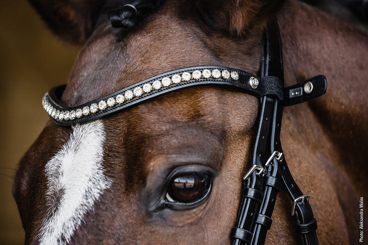 Schockemohle Palermo Snaffle Bridle - Snaffle Bridle - Kingdom Equestrian