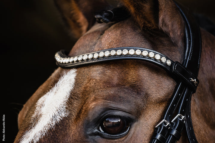 Schockemohle Palermo Snaffle Bridle - Snaffle Bridle - Kingdom Equestrian