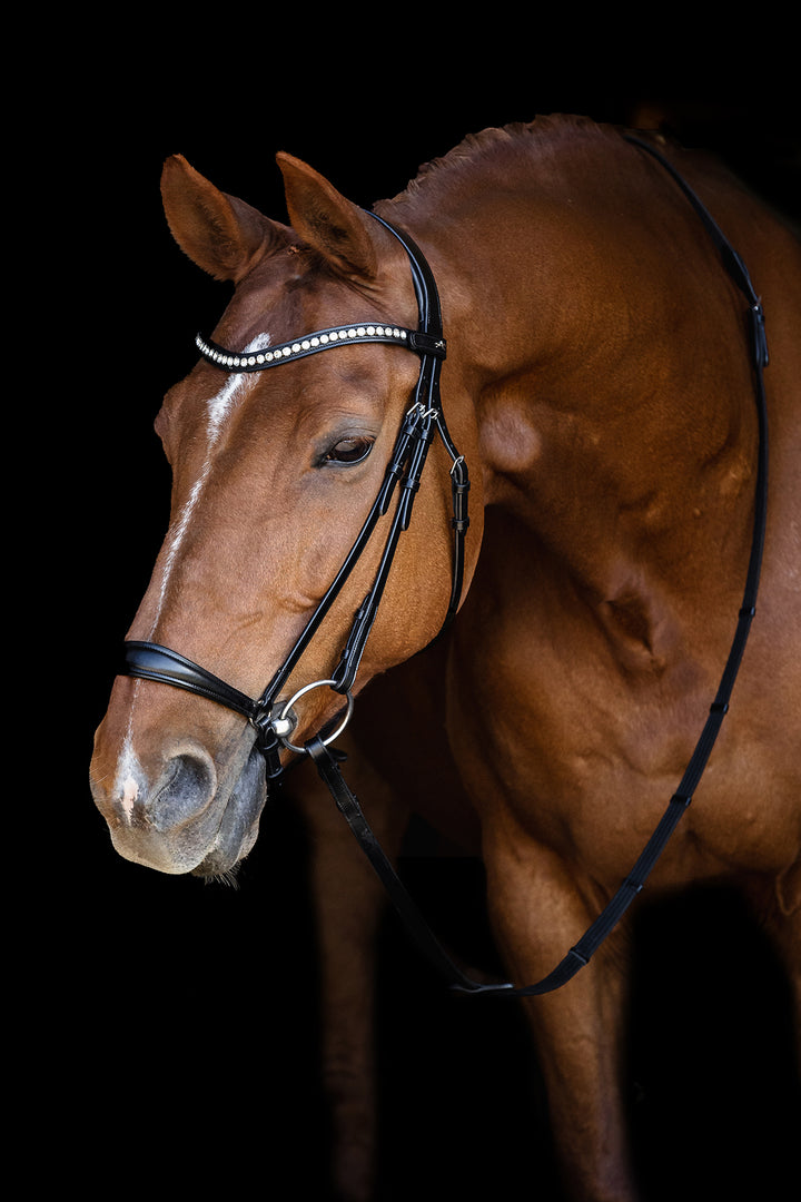 Schockemohle Pisa Drop Noseband Bridle - Snaffle Bridle - Kingdom Equestrian