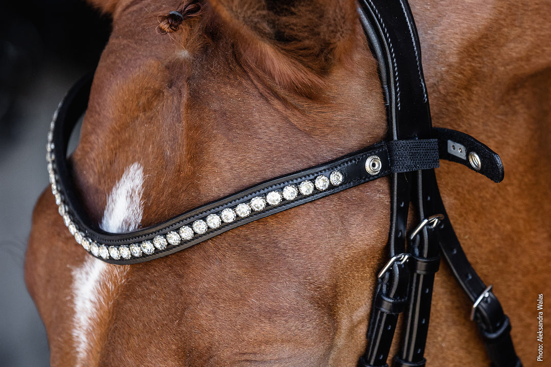 Schockemohle Pisa Drop Noseband Bridle - Snaffle Bridle - Kingdom Equestrian