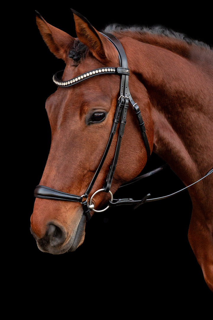Schockemohle Pisa Drop Noseband Bridle - Snaffle Bridle - Kingdom Equestrian