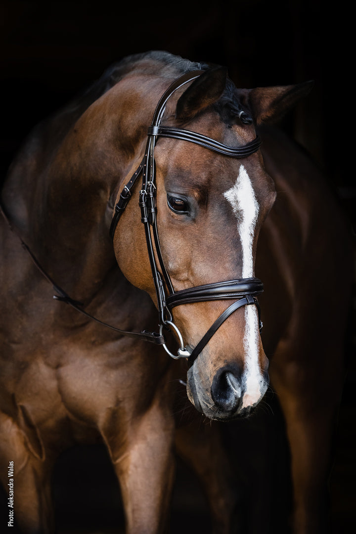 Schockemohle Monza Snaffle Bridle - Snaffle Bridle - Kingdom Equestrian