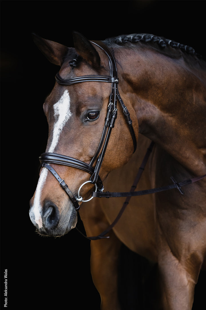 Schockemohle Monza Snaffle Bridle - Snaffle Bridle - Kingdom Equestrian