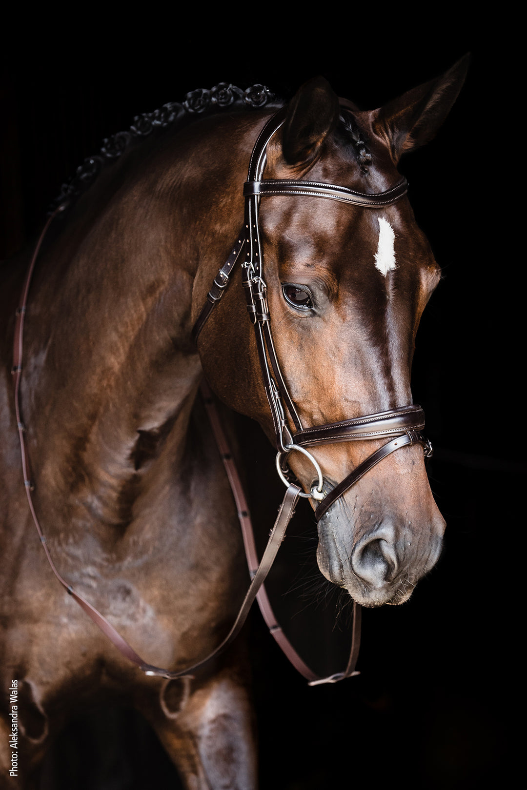 Schockemohle Monza Snaffle Bridle - Snaffle Bridle - Kingdom Equestrian