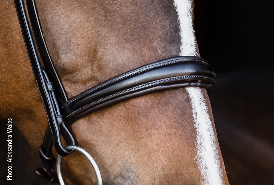 Schockemohle Monza Snaffle Bridle - Snaffle Bridle - Kingdom Equestrian