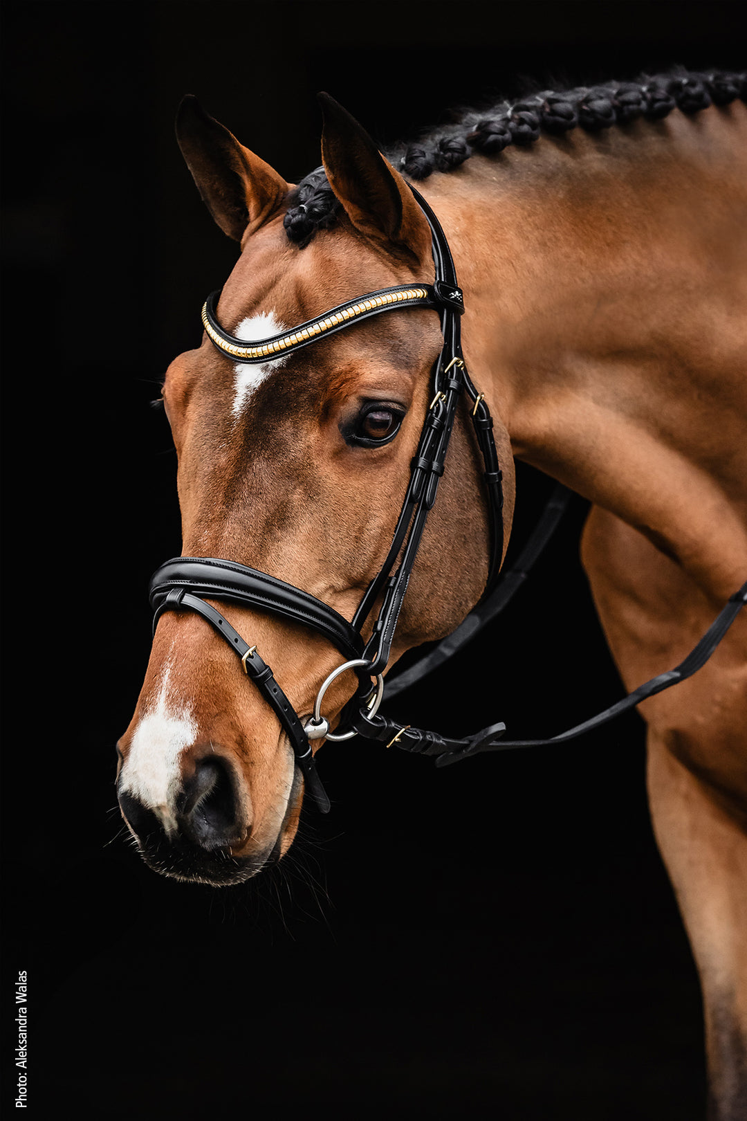 Schockemohle Monza C Snaffle Bridle - Snaffle Bridle - Kingdom Equestrian