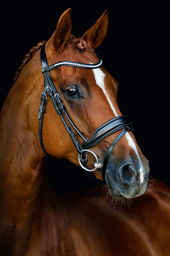 Shockemohle Malibu Snaffle Bridle - Snaffle Bridle - Kingdom Equestrian