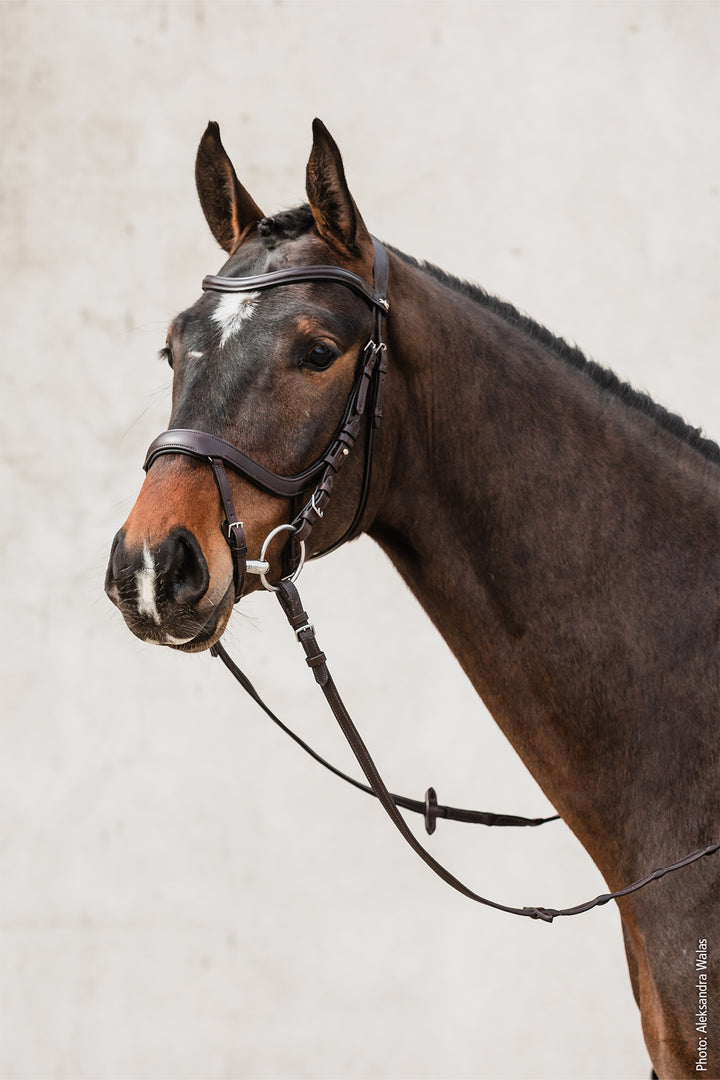 Schockemohle Equitus Alpha - Snaffle Bridle - Kingdom Equestrian