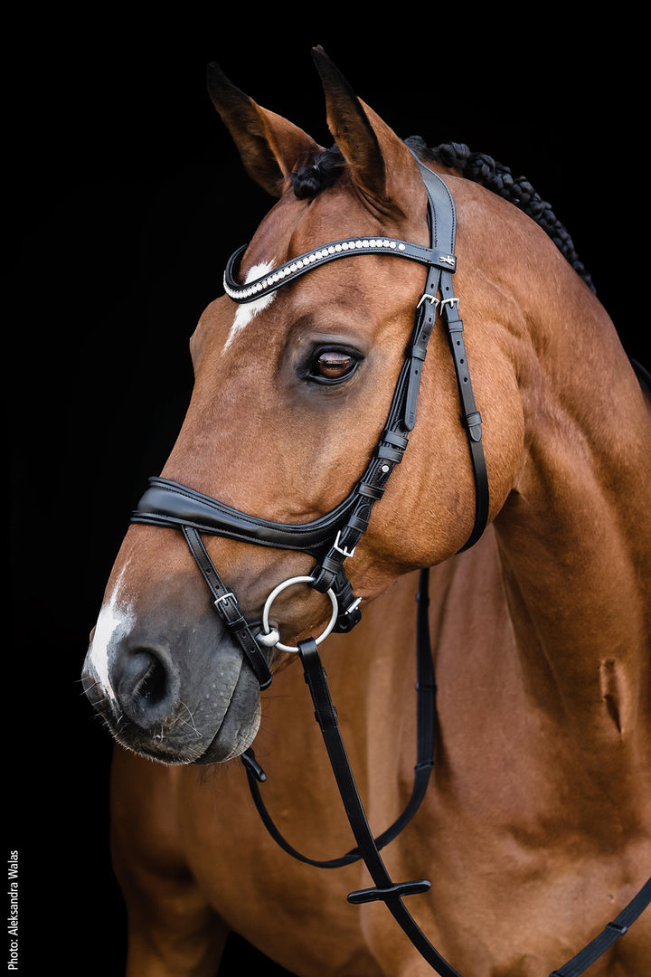 Schockemohle Equitus Beta - Snaffle Bridle - Kingdom Equestrian