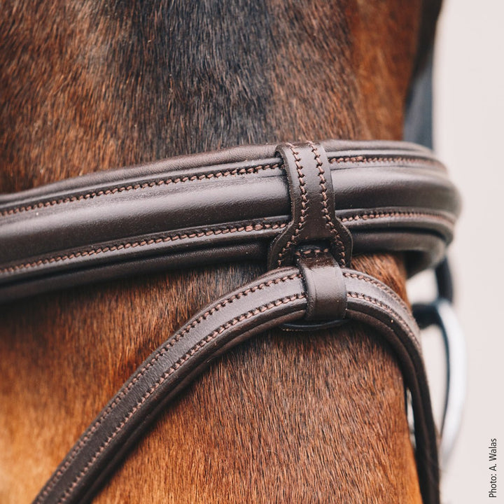 Schockemohle Tokyo Select - Snaffle Bridle - Kingdom Equestrian