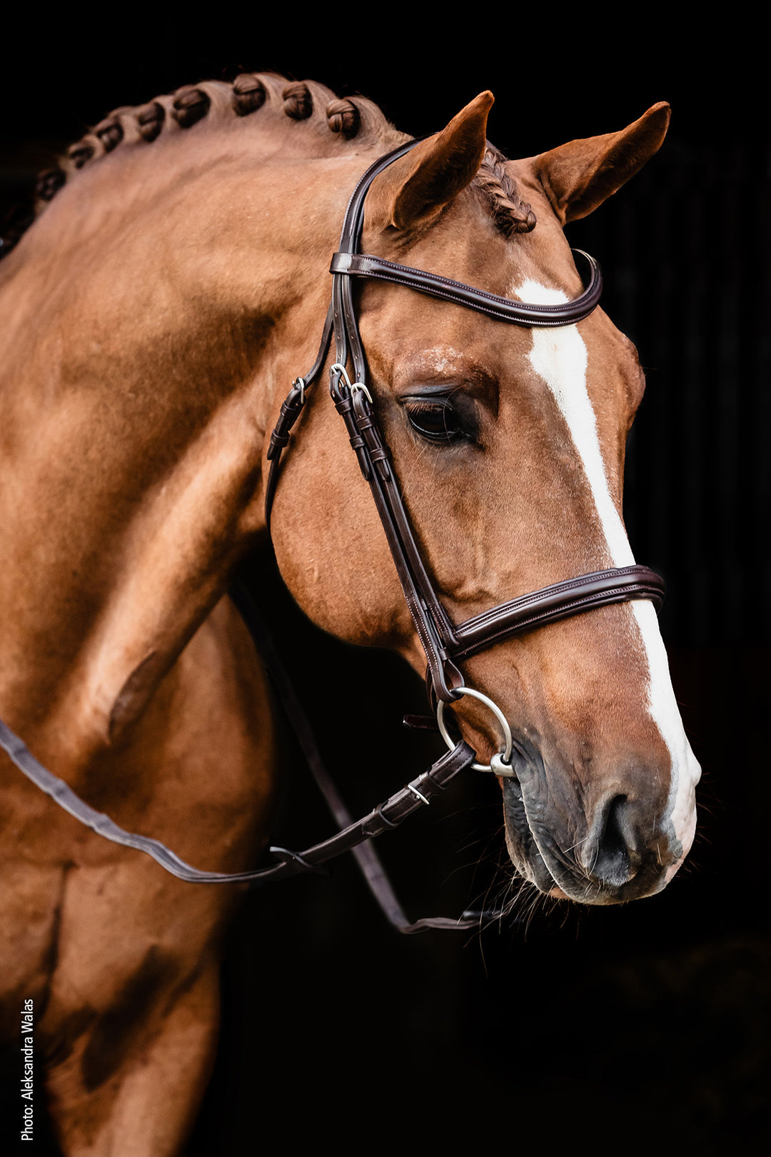 Schockemohle Tokyo Select - Snaffle Bridle - Kingdom Equestrian