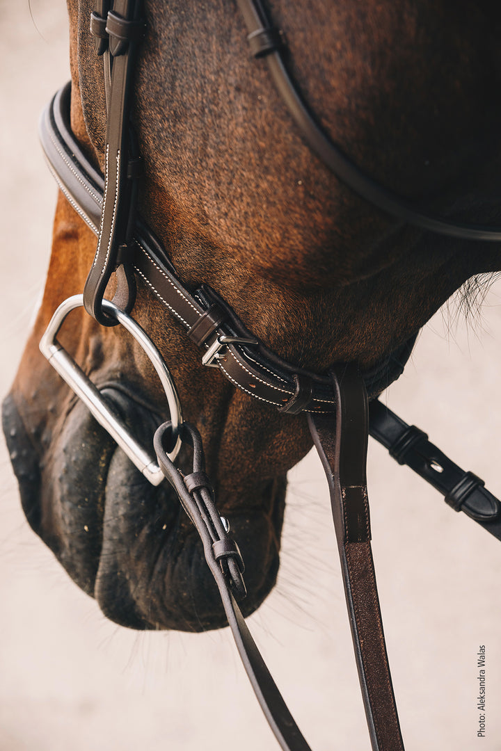 Schockemohle Montreal Select - Snaffle Bridle - Kingdom Equestrian