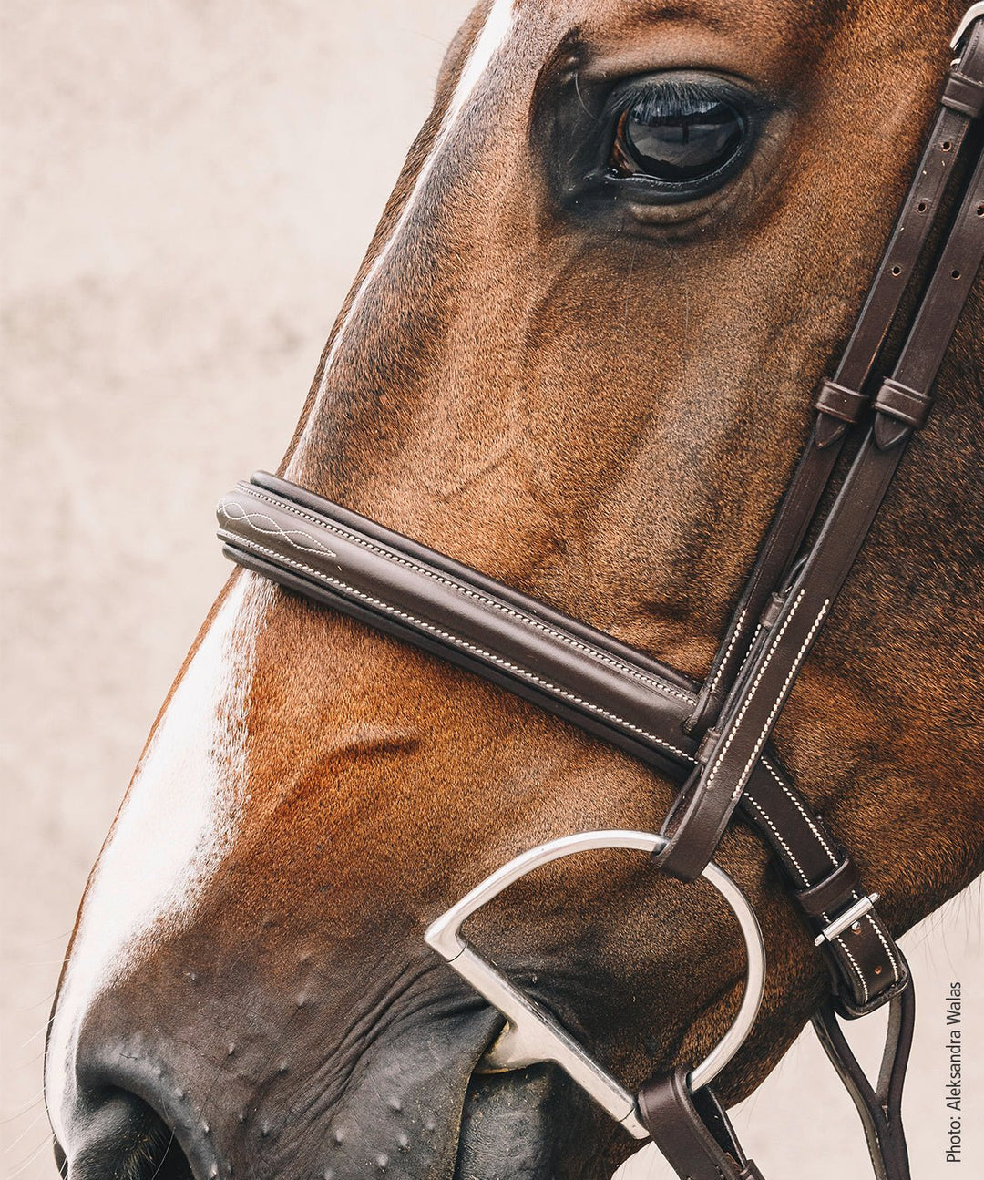 Schockemohle Montreal Select - Snaffle Bridle - Kingdom Equestrian