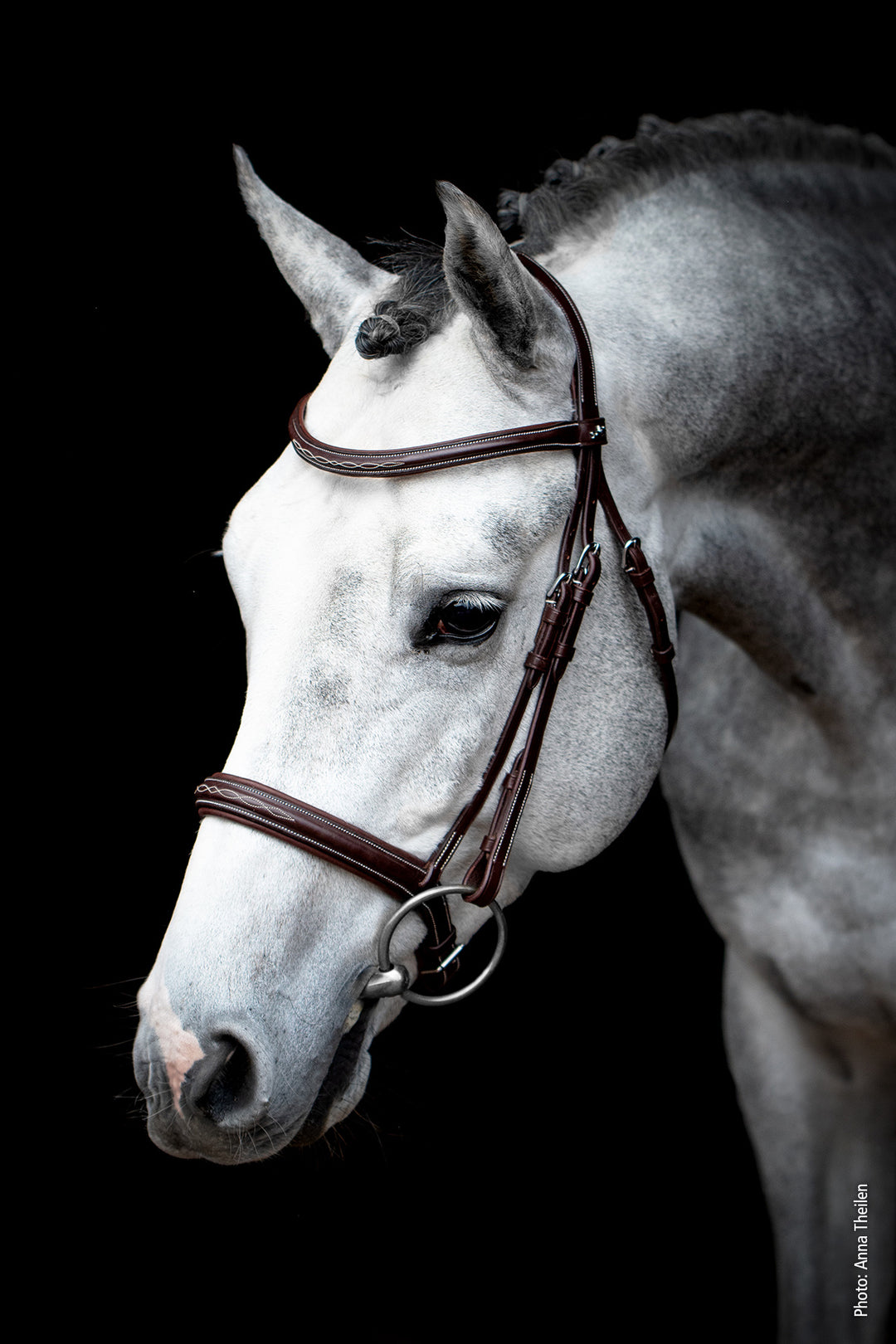 Schockemohle Montreal Select - Snaffle Bridle - Kingdom Equestrian