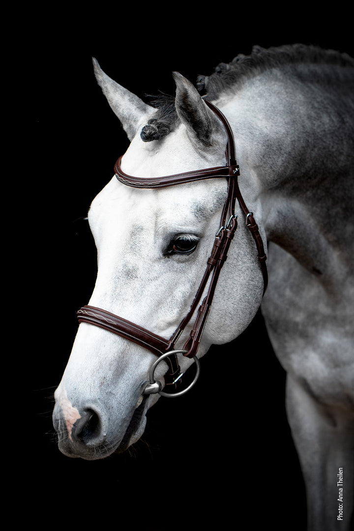 Schockemohle Montreal Select - Snaffle Bridle - Kingdom Equestrian