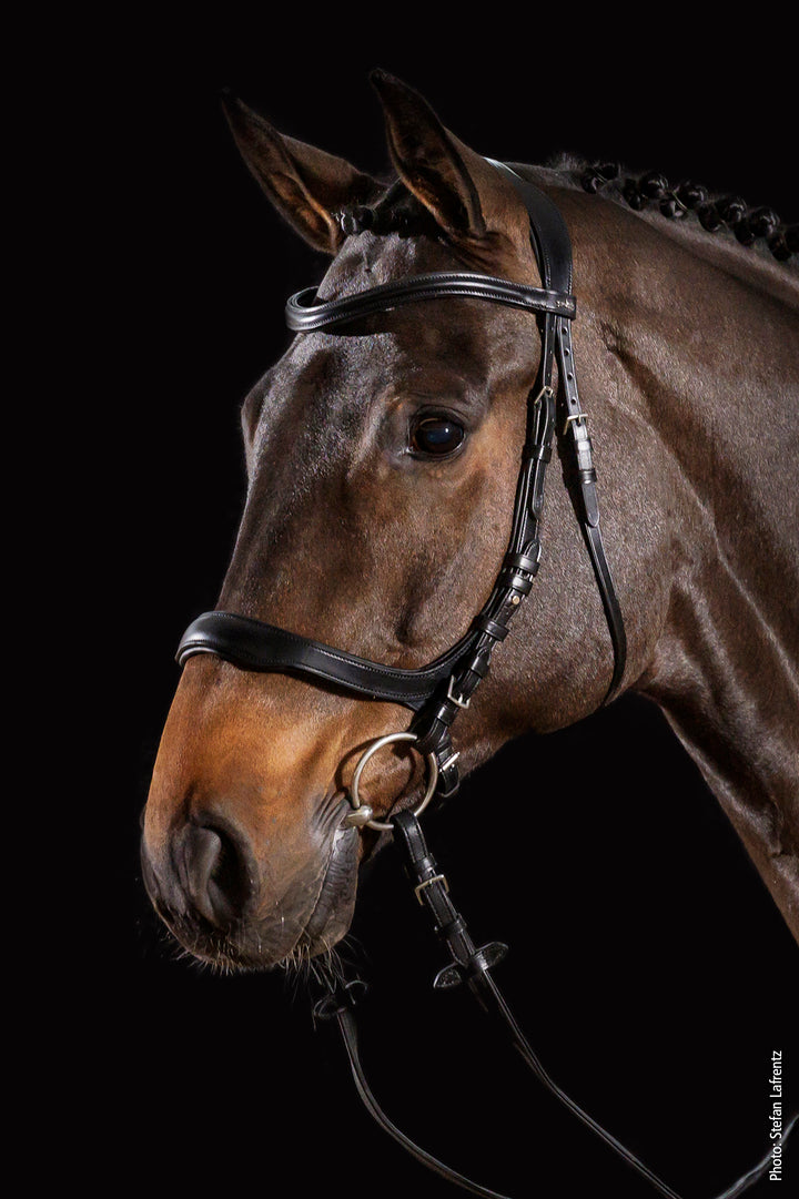 Schockemohle Equitus Delta - Snaffle Bridle - Kingdom Equestrian