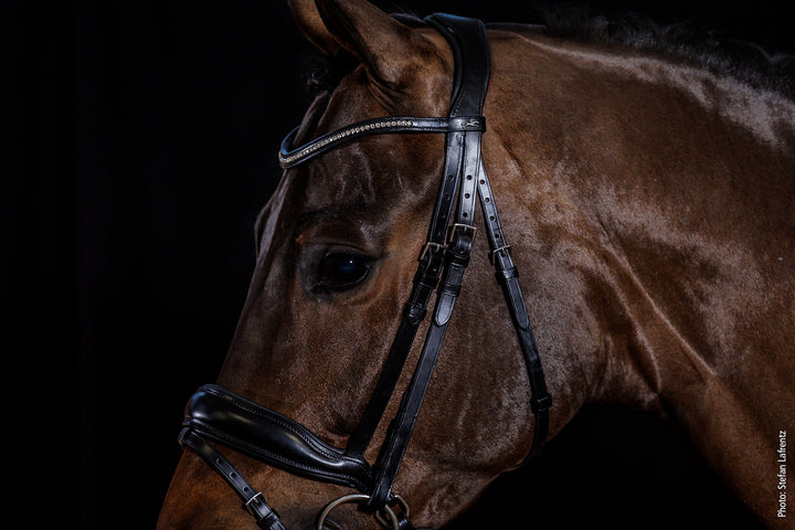 Shockemohle Stanford 'Wide' Snaffle Bridle - Snaffle Bridle - Kingdom Equestrian