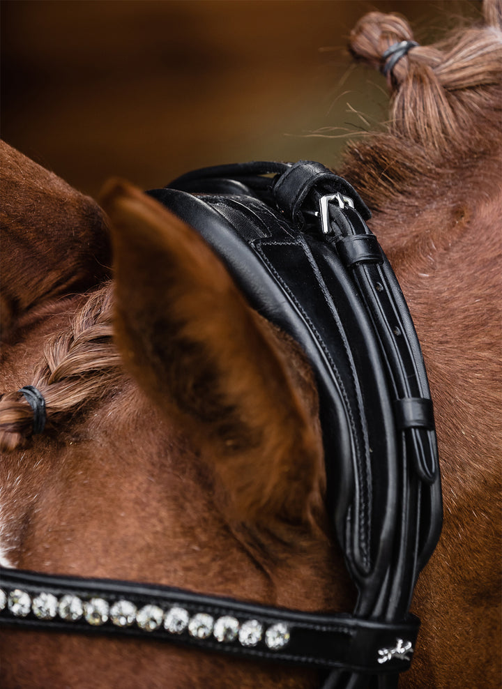 Shockemohle Kensington Double Bridle - Double Bridle - Kingdom Equestrian