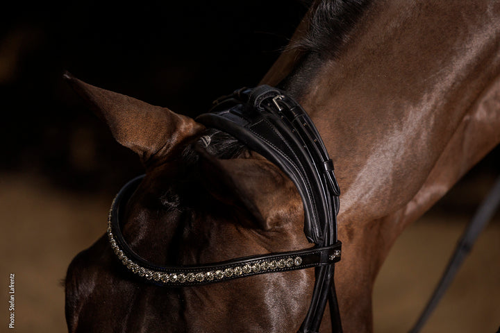 Shockemohle Kensington Double Bridle - Double Bridle - Kingdom Equestrian