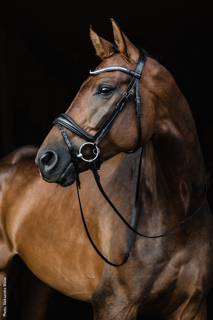 Shockemohle Charleston Snaffle Bridle - Snaffle Bridle - Kingdom Equestrian