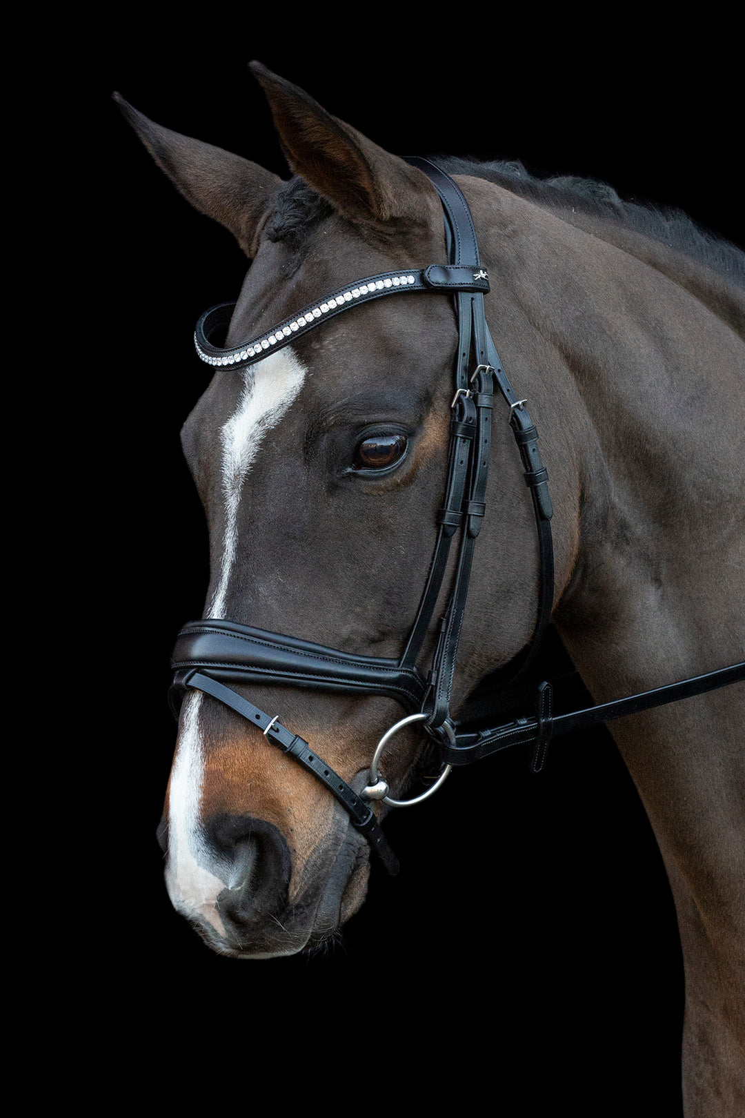 Shockemohle Charleston Snaffle Bridle - Snaffle Bridle - Kingdom Equestrian