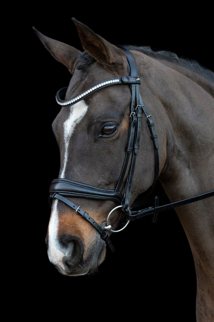 Shockemohle Charleston Snaffle Bridle - Snaffle Bridle - Kingdom Equestrian