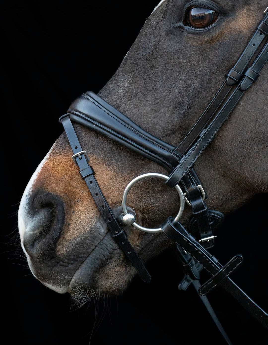 Shockemohle Charleston Snaffle Bridle - Snaffle Bridle - Kingdom Equestrian