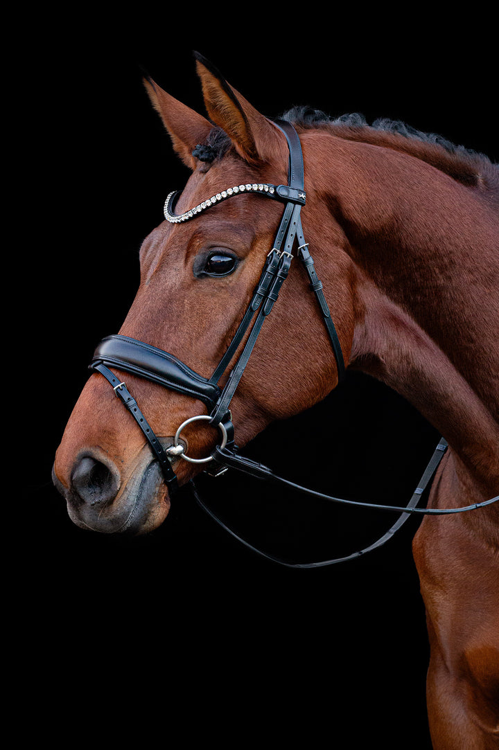 Shockemohle Siena Snaffle Bridle - Snaffle Bridle - Kingdom Equestrian
