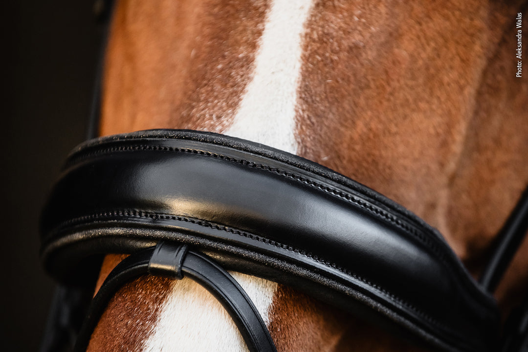 Shockemohle Valencia Snaffle Bridle - Snaffle Bridle - Kingdom Equestrian