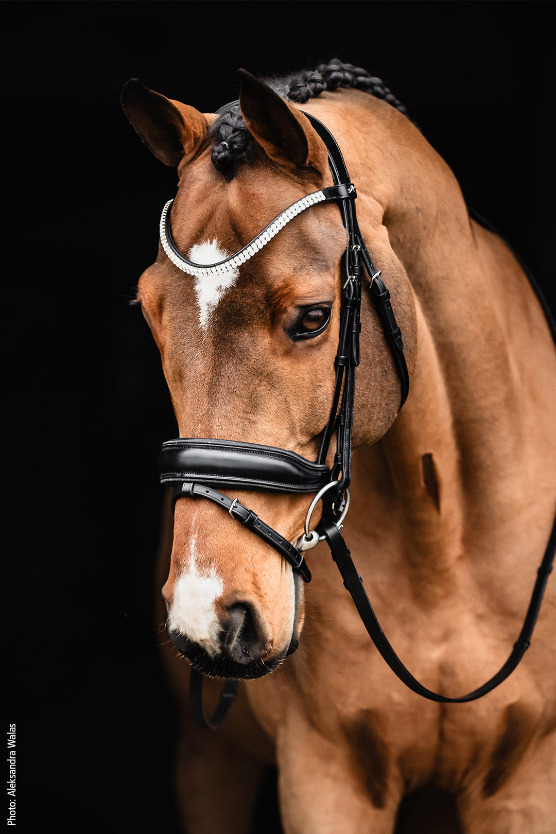 Shockemohle Valencia Snaffle Bridle - Snaffle Bridle - Kingdom Equestrian