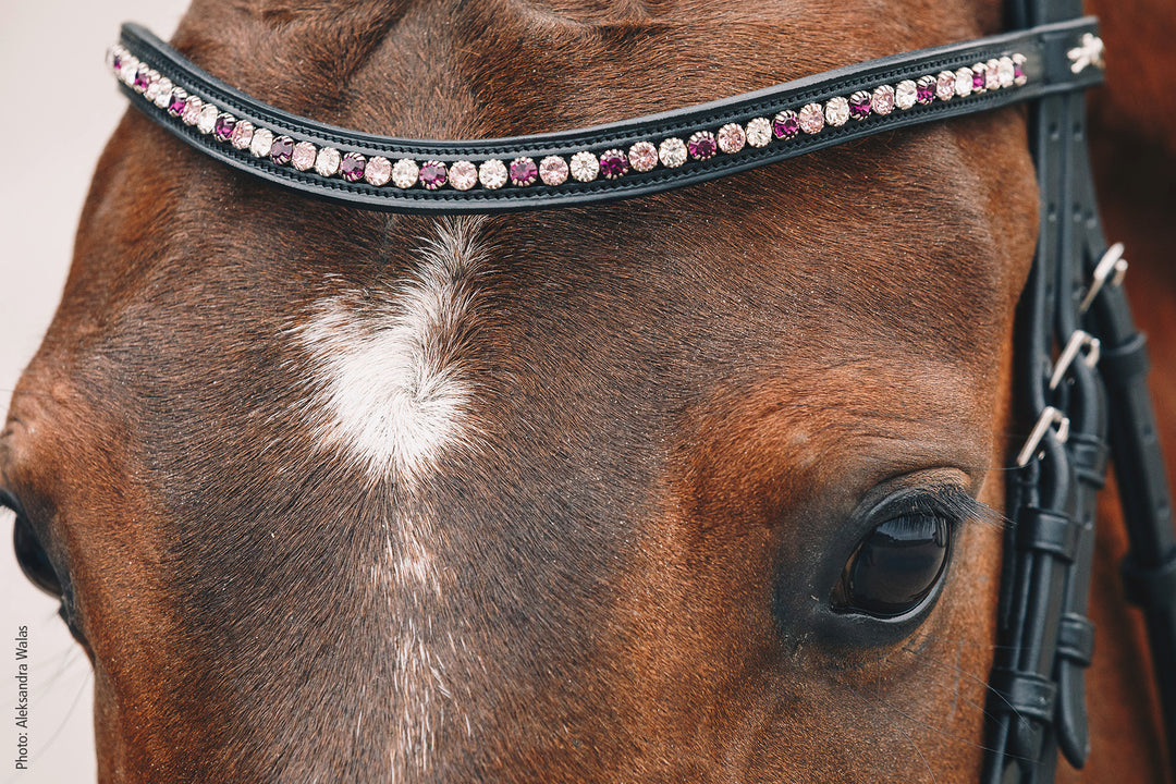 Schockemohle Browband Diamond Select - Browband - Kingdom Equestrian