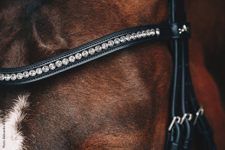 Schockemohle Browband Diamond Select - Browband - Kingdom Equestrian