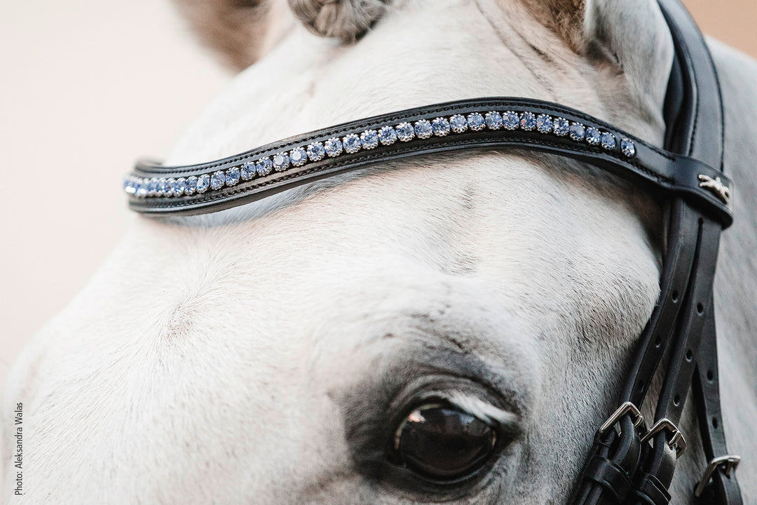Schockemohle Browband Diamond Select - Browband - Kingdom Equestrian